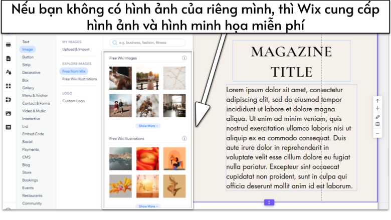 Copy of Copy of 05_24 - [OPT] How to Build a Website in 2024_ Complete Step-by-Step __IMAGES__ (3)