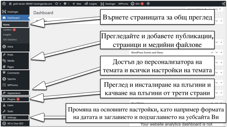 WordPress Dashboard Basics