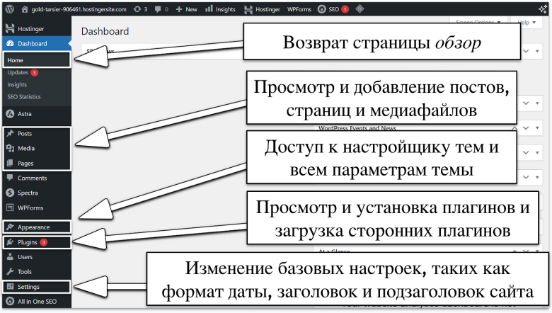 WordPress Dashboard Basics