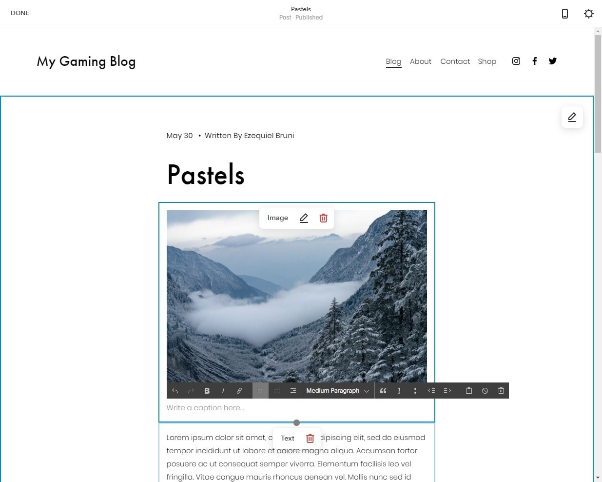 Squarespace - editor voor blogposts