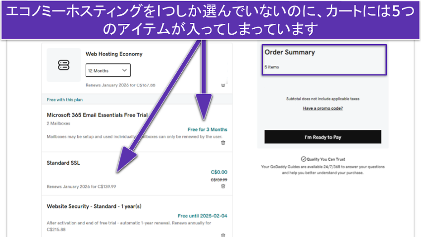 エコノミーホスティングを1つしか選んでいないのに、カートには5つのアイテムが入ってしまっています