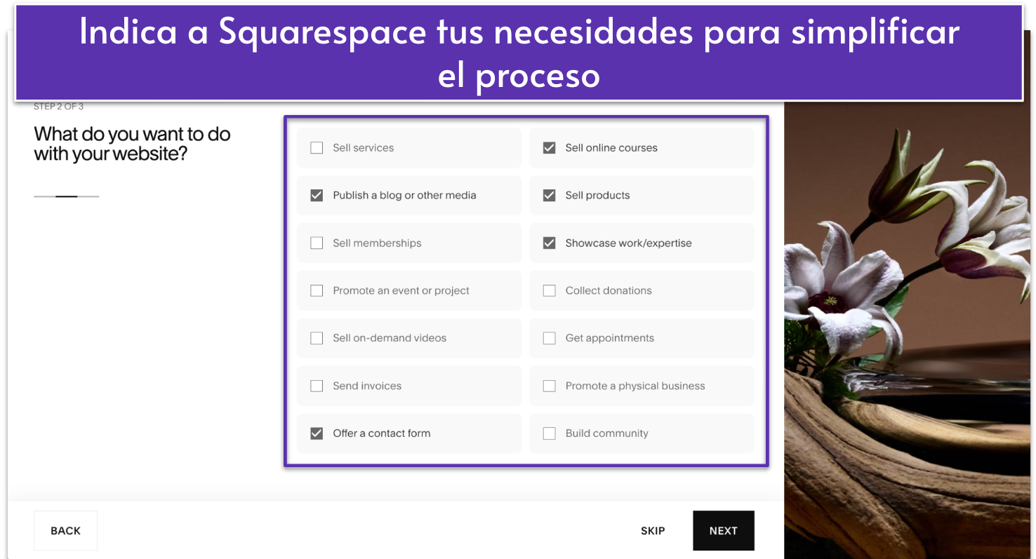 Squarespace questionnaire - web purpose