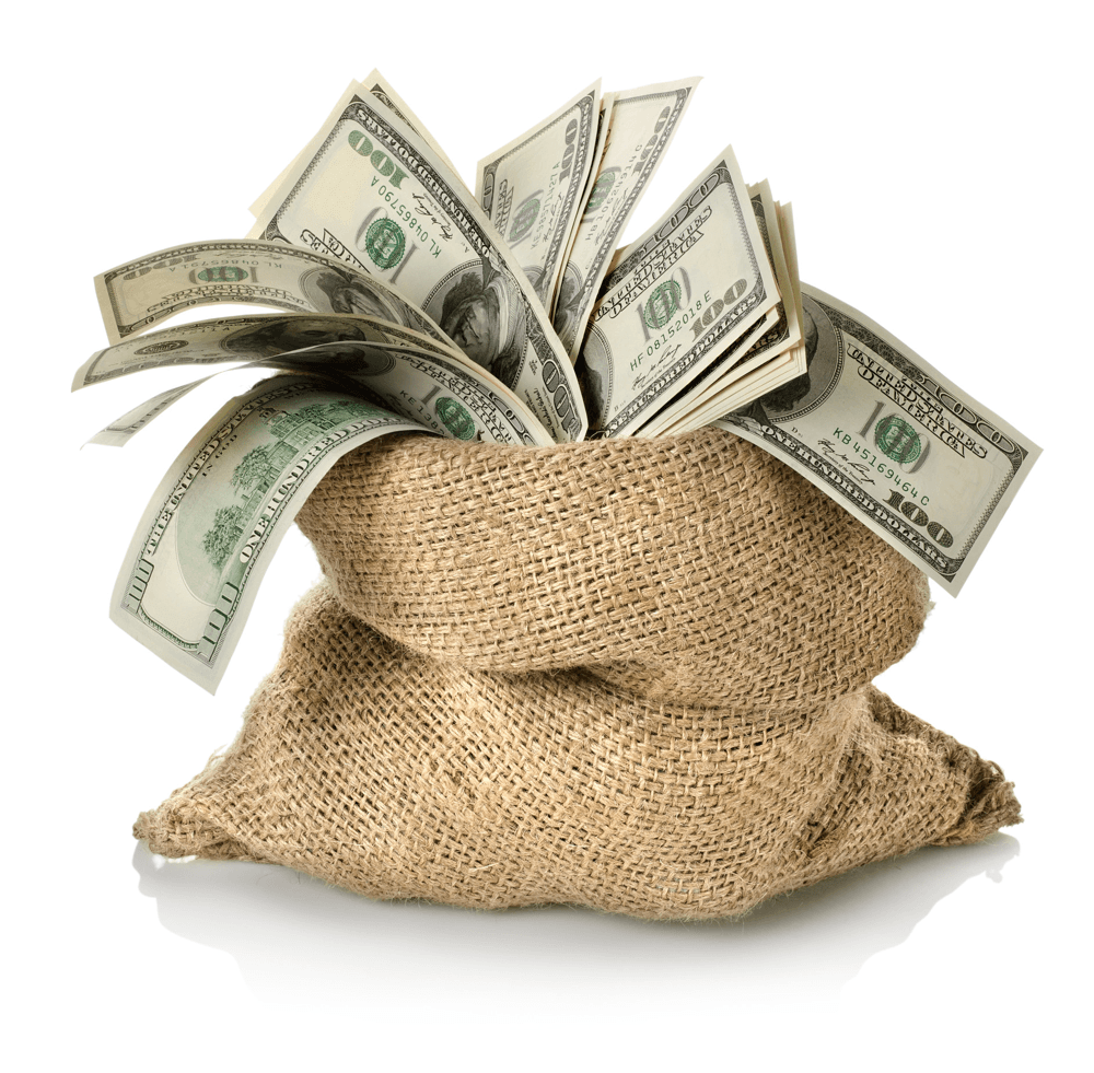 money-bag