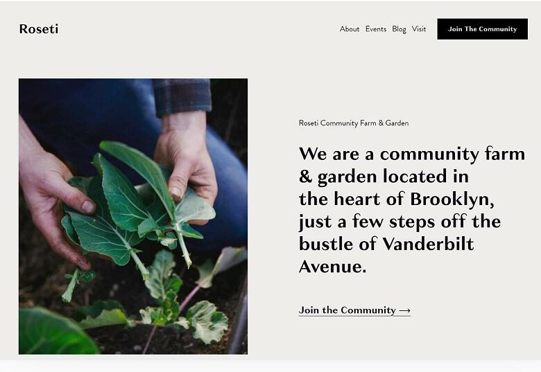 Squarespace Roseti template