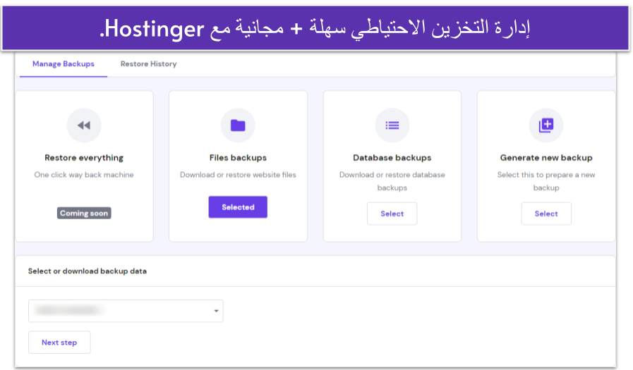 Copy of [OPT] 2024 Hostinger Review __IMAGES__ (1)