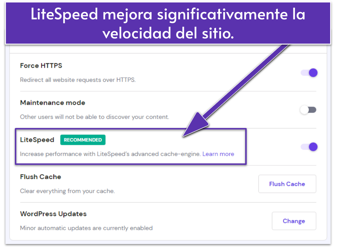 Screenshot displaying Hostinger's site settings with LiteSpeed enabled.