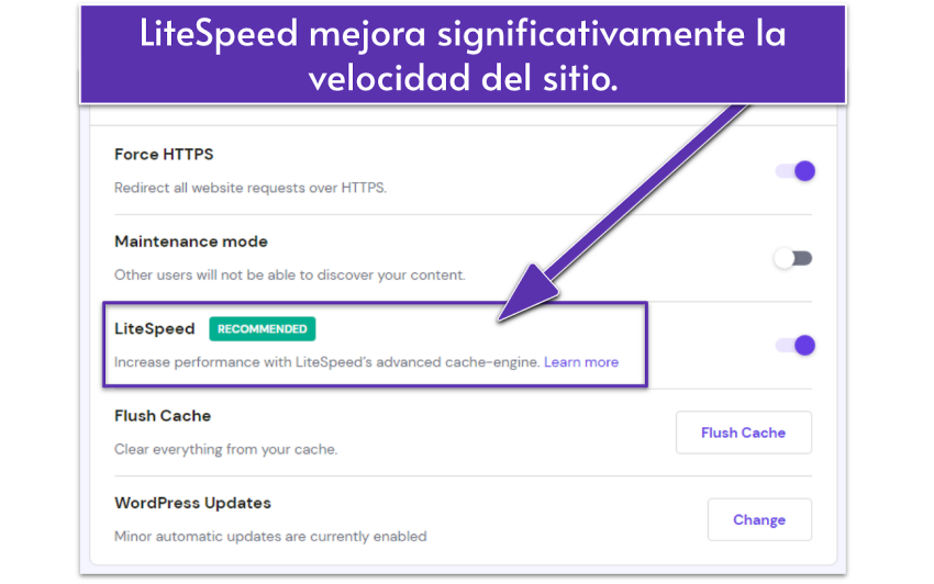 Screenshot displaying Hostinger's site settings with LiteSpeed enabled.