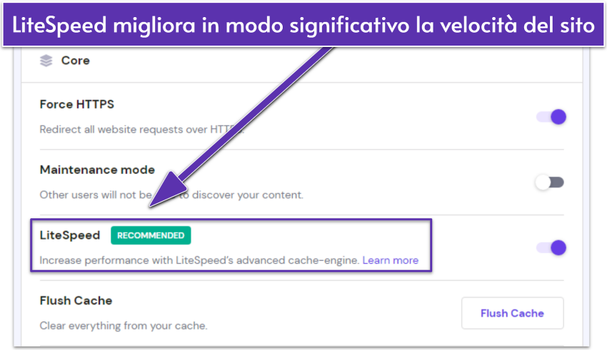 Screenshot displaying Hostinger's site settings with LiteSpeed enabled