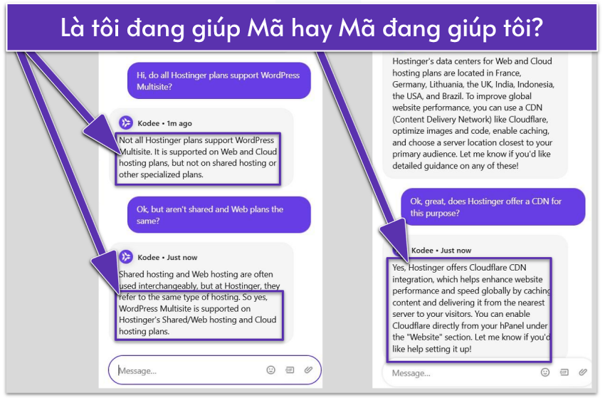 Hostinger Kodee AI chatbot interaction