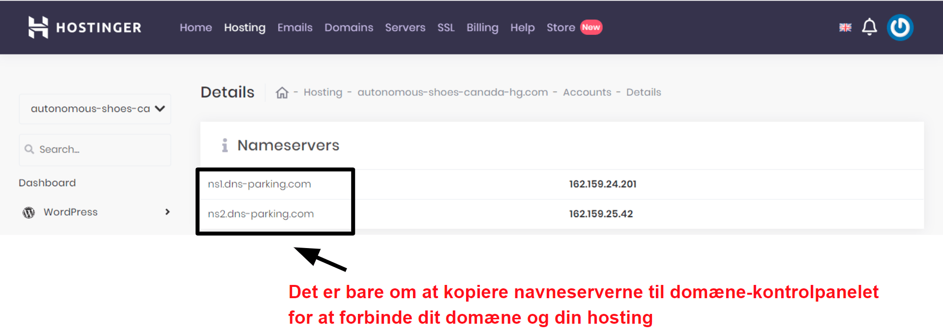 Hostinger domain connection information_DA