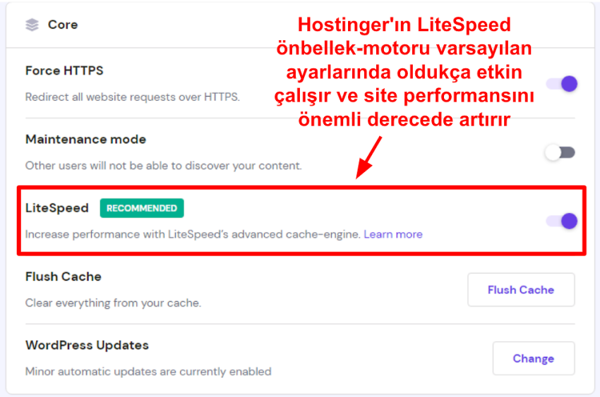 Screenshot displaying Hostinger's site settings with LiteSpeed enabled.