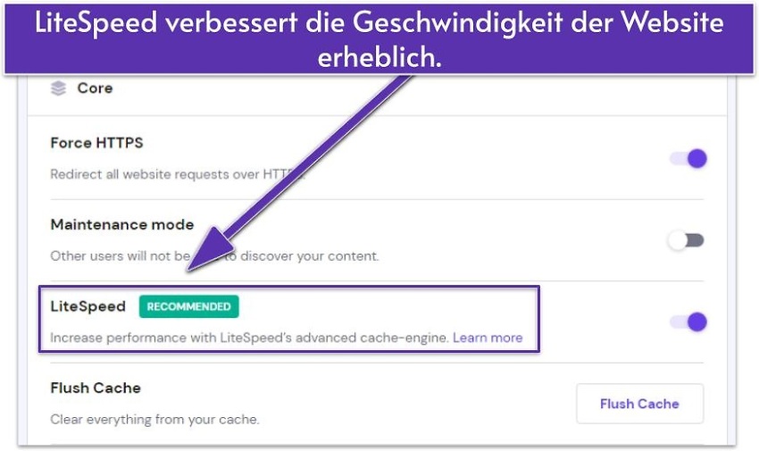LiteSpeed verbessert die Geschwindigkeit der Website erheblich