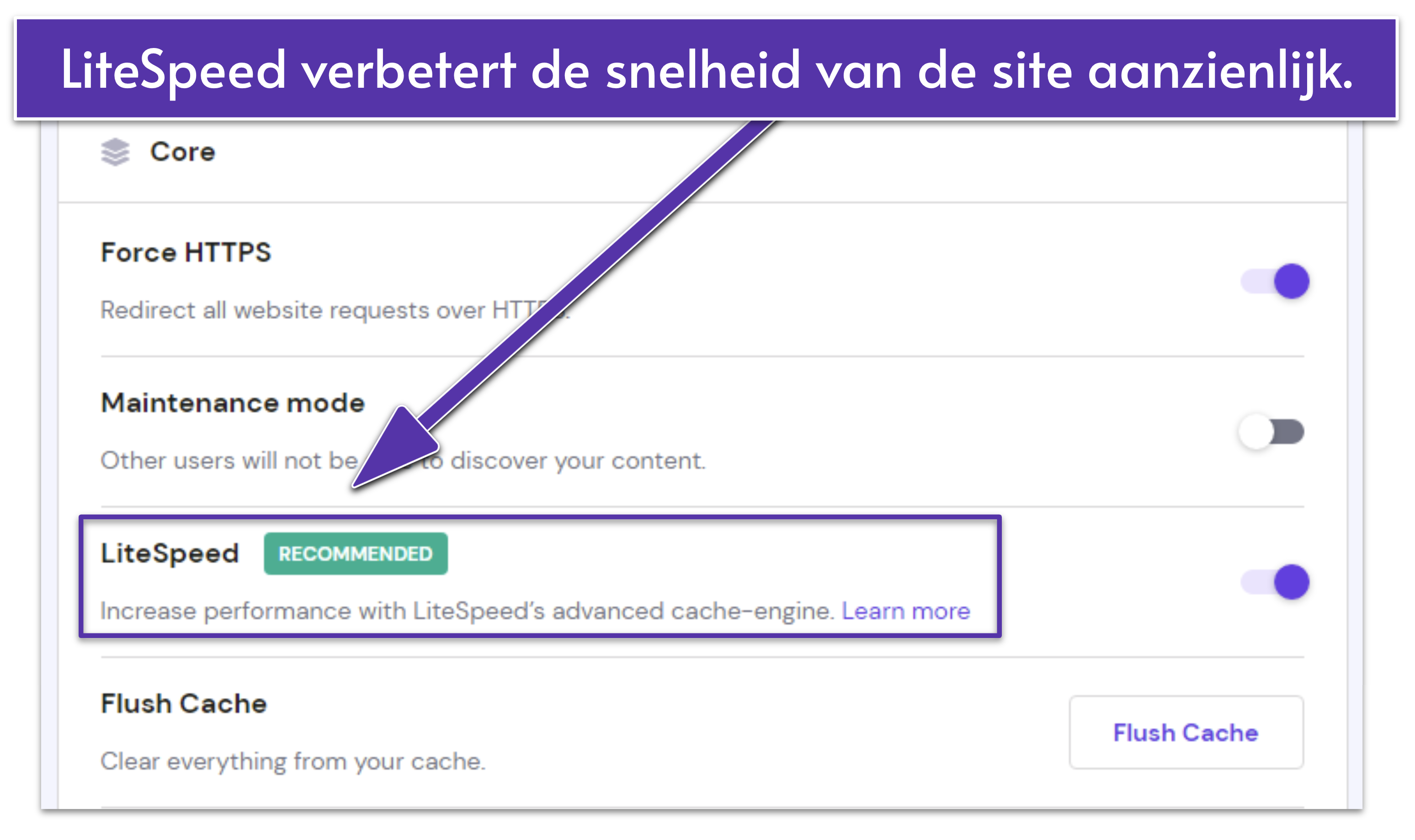 Screenshot displaying Hostinger's site settings with LiteSpeed enabled.