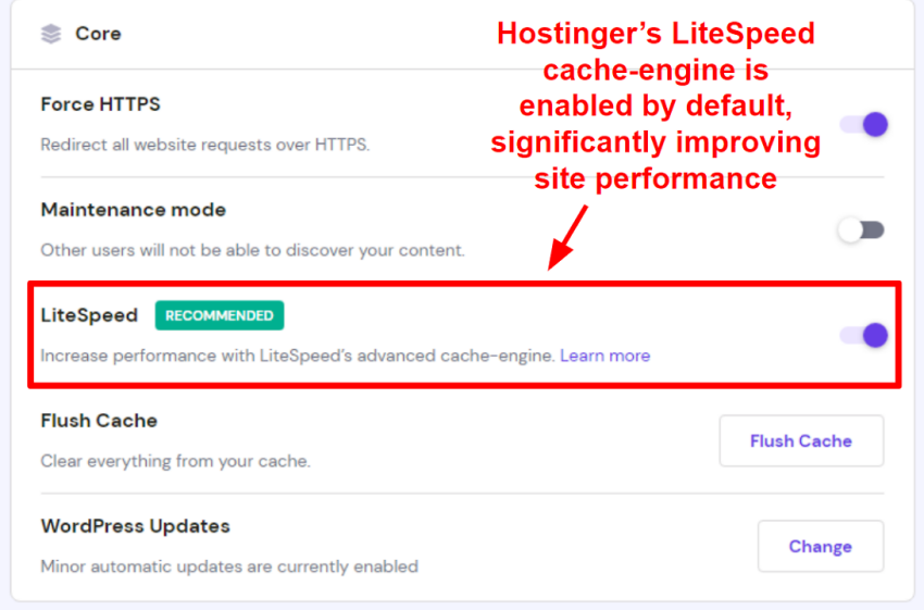 Screenshot displaying Hostinger's site settings with LiteSpeed enabled.