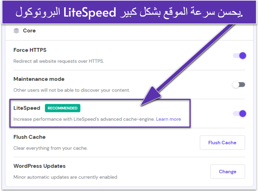 Screenshot displaying Hostinger's site settings with LiteSpeed enabled.