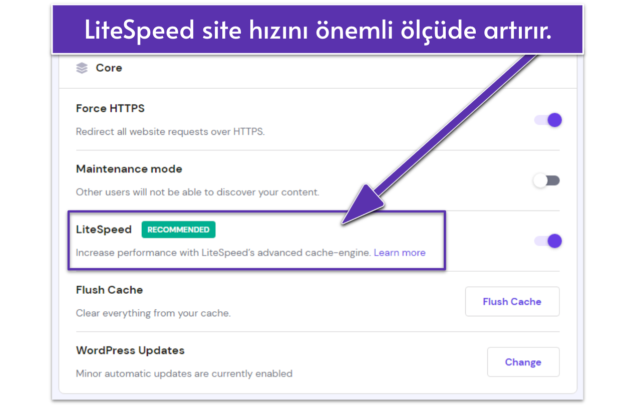 Screenshot displaying Hostinger's site settings with LiteSpeed enabled.