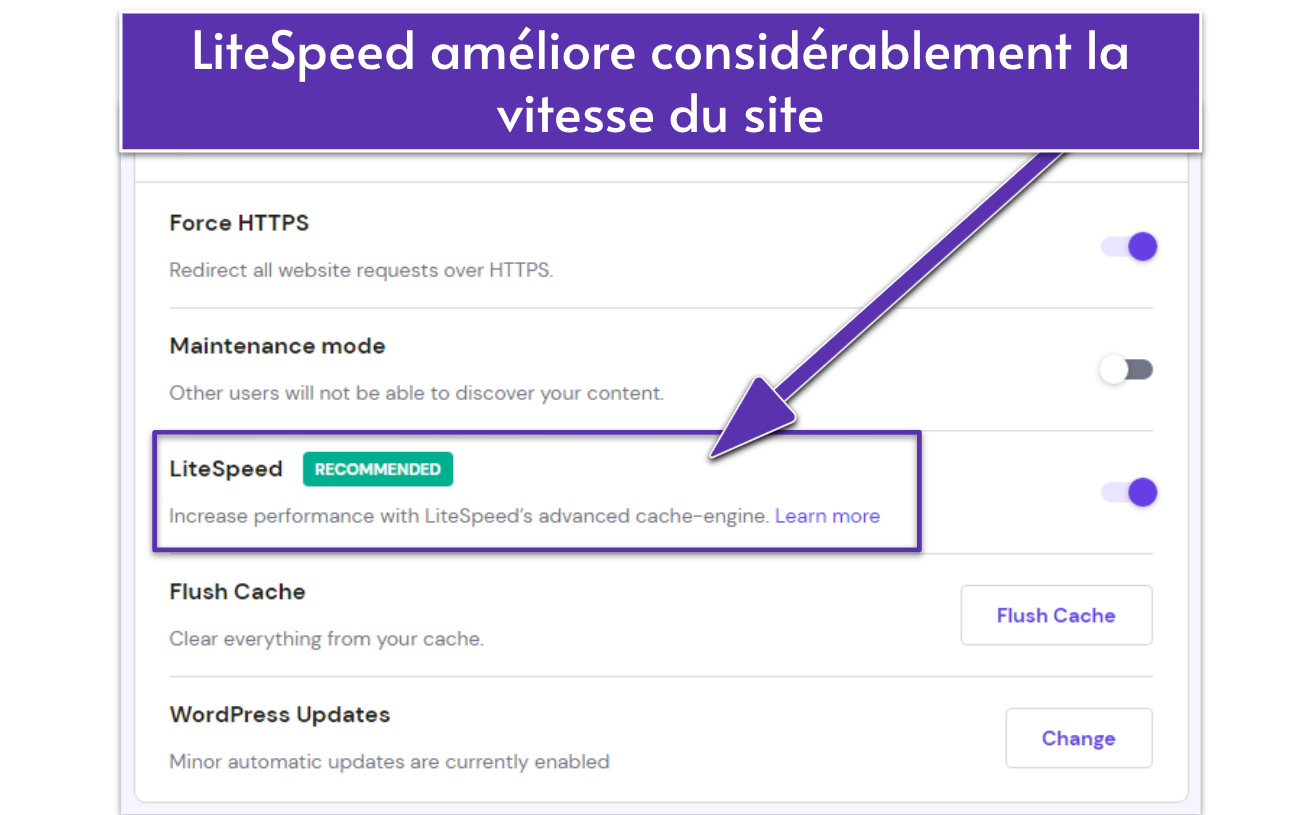 Screenshot displaying Hostinger's site settings with LiteSpeed enabled.