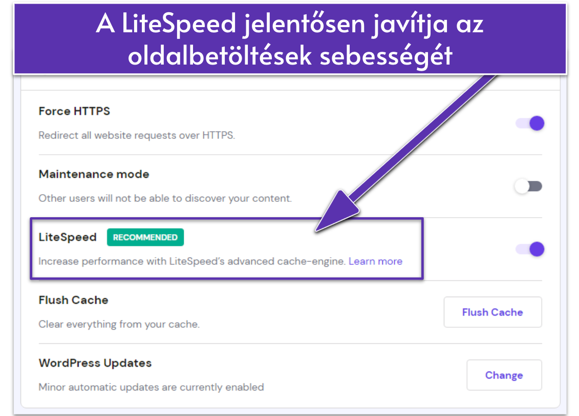 Screenshot displaying Hostinger's site settings with LiteSpeed enabled.
