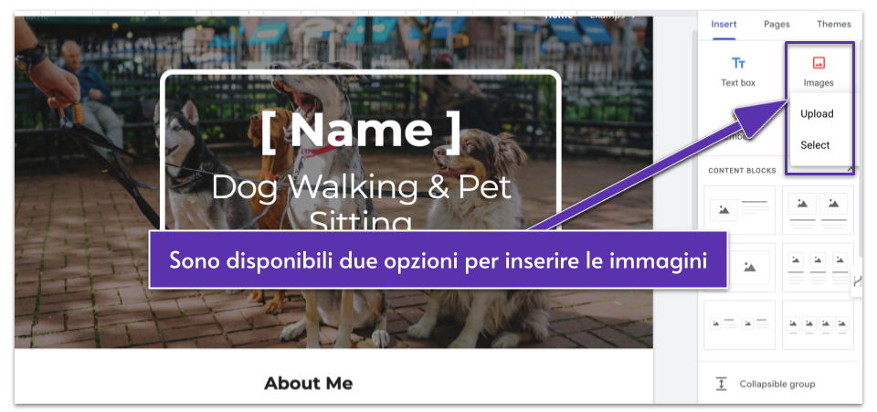Copy of Copy of 4_25 [OPT] Google Sites Review __IMAGES__ (1)