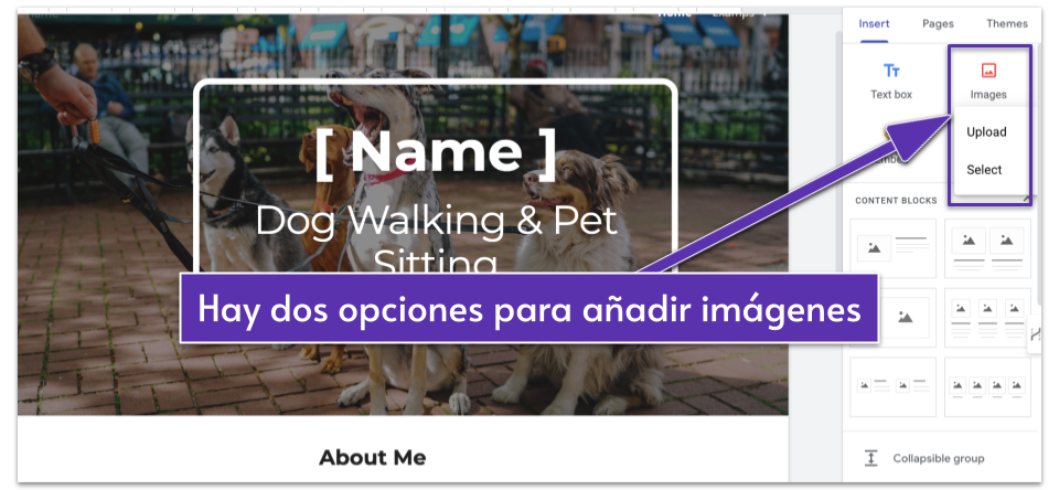 Copy of Copy of 4_25 [OPT] Google Sites Review __IMAGES__ (3)