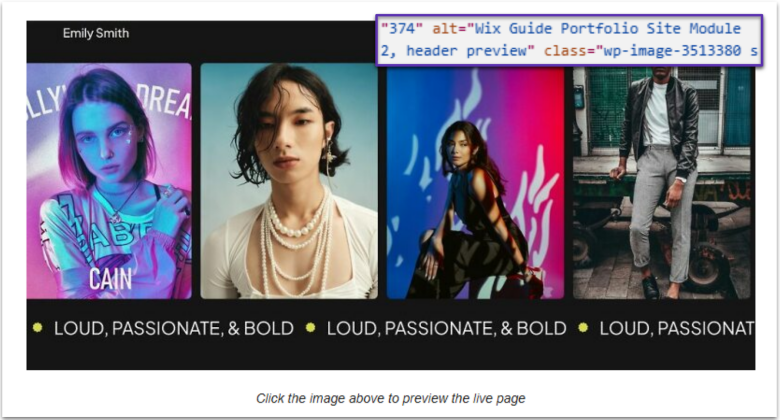 Screenshot of a Wix image with alt text