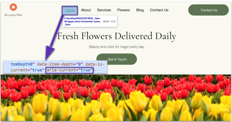 Wix website showing ARIA tag.