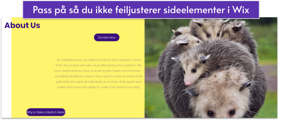 Copy of Copy of [OPT] Wix vs Squarespace ___IMAGES___ (36)
