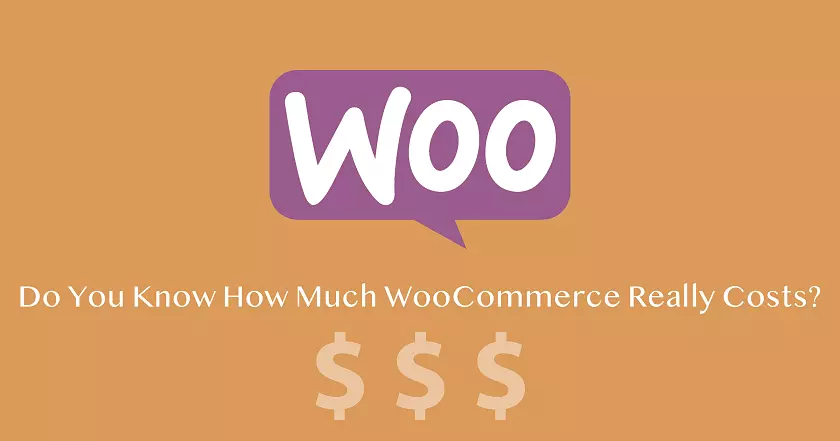 I Prezzi di WooCommerce: Il VERO Costo di un Negozio Online