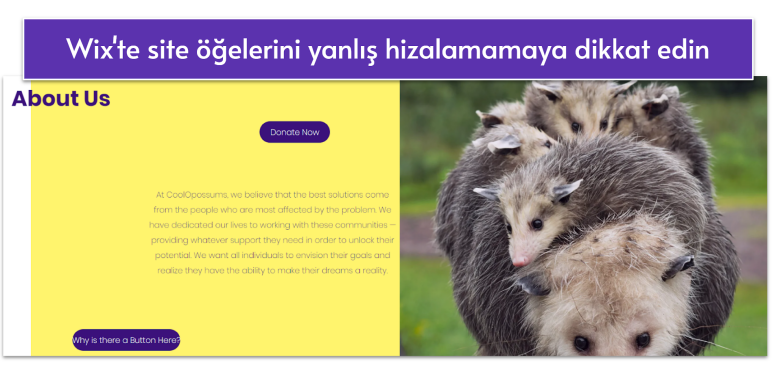 wix-vs-squarespace-1-TR