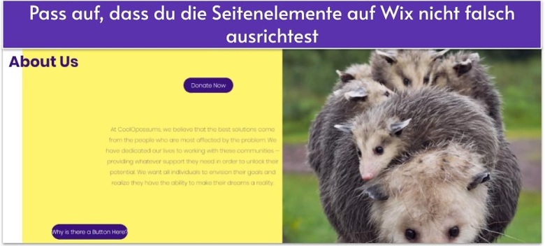 Pass auf, dass du die Seitenelemente auf Wix nicht falsch ausrichtest