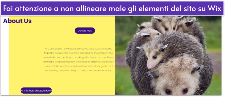 A screenshot of a Wix website with slightly misaligned elements