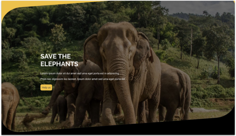 IONOS Ecological Campaign Template.