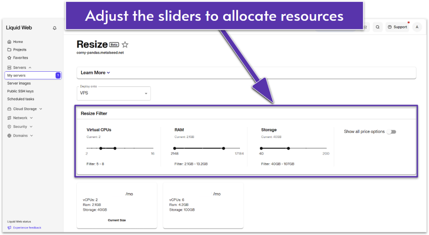 InterServer Resize options.