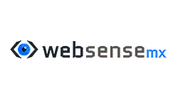 websensemx-logo-alt