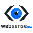 Websense MX