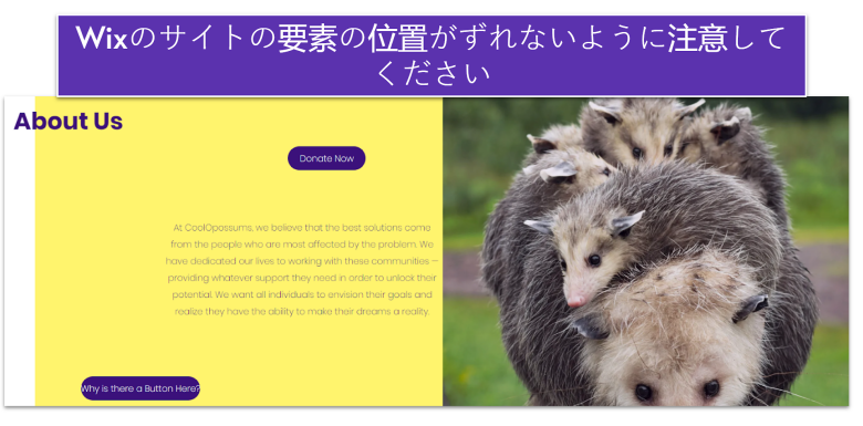 wix-vs-squarespace-1-JA