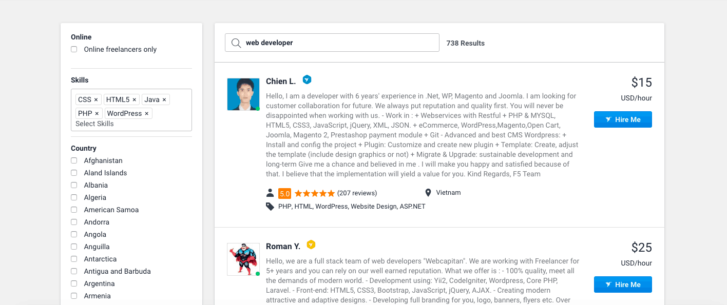 hire freelance web developer