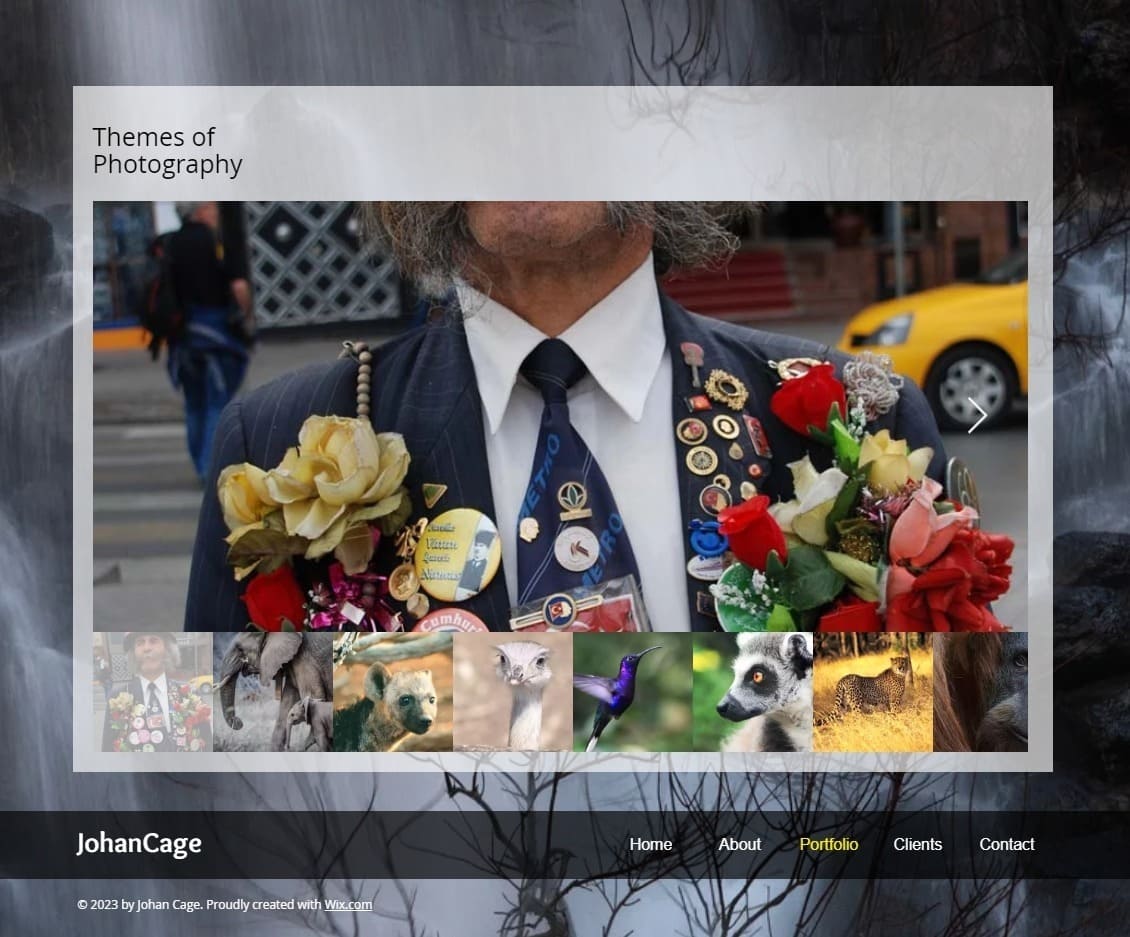 6 Best Wix Photography Website Templates (+3 Worst)-image5