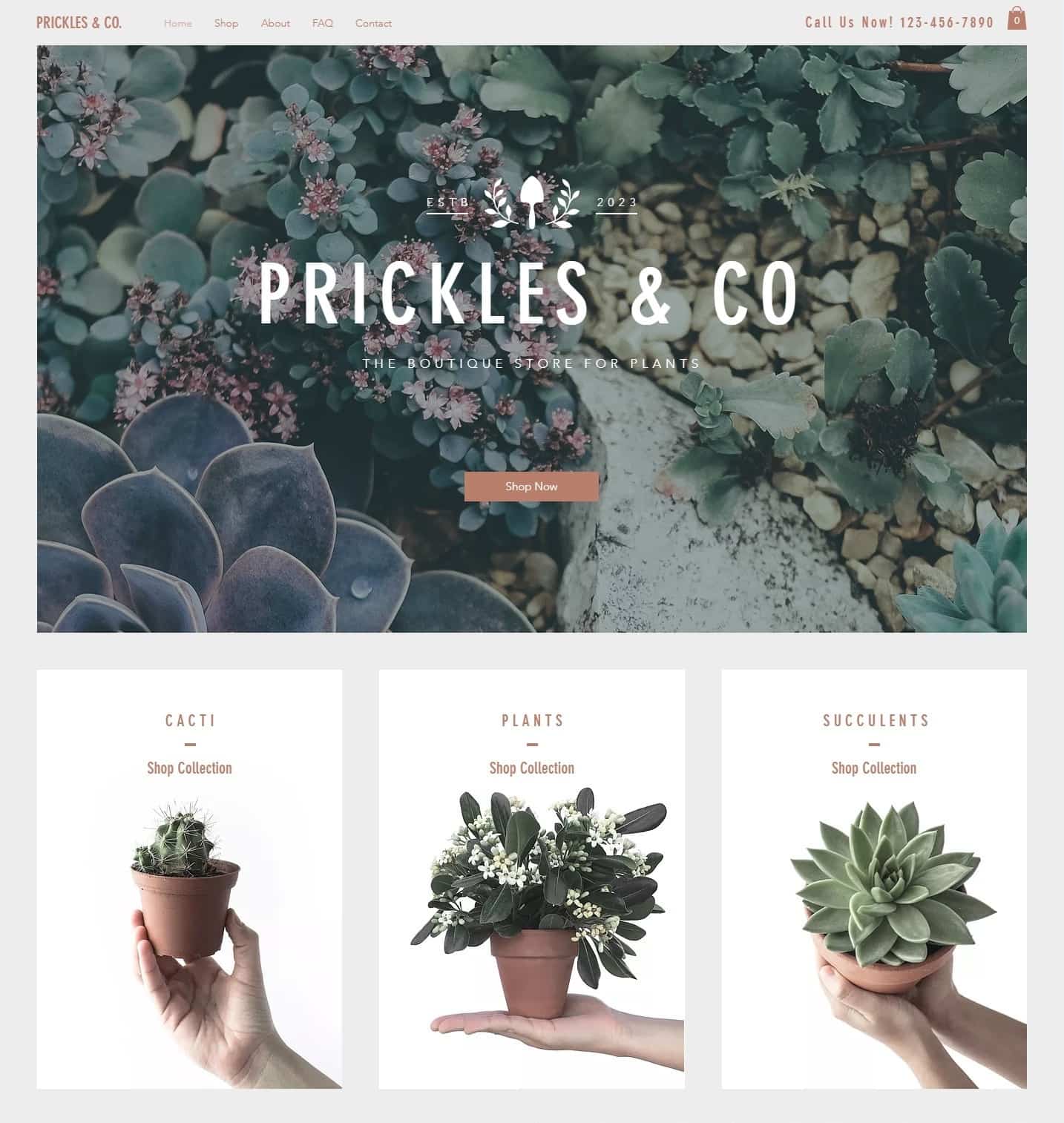 6 Best Wix Photography Website Templates ( 3 Worst)