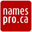 Namespro-logo