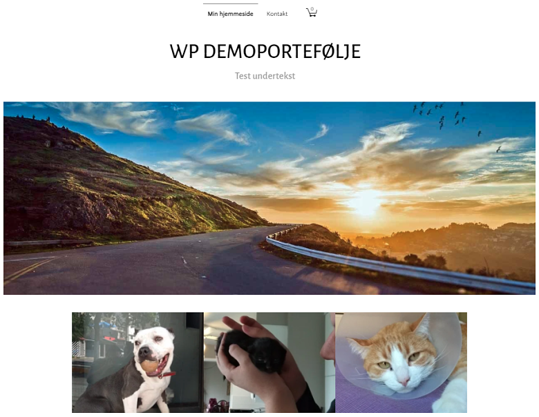 SimpleSite