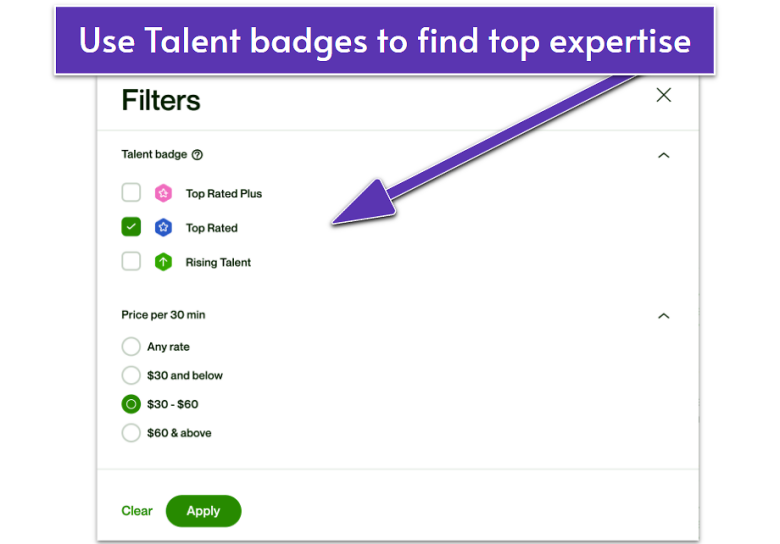 Upwork search badge filters