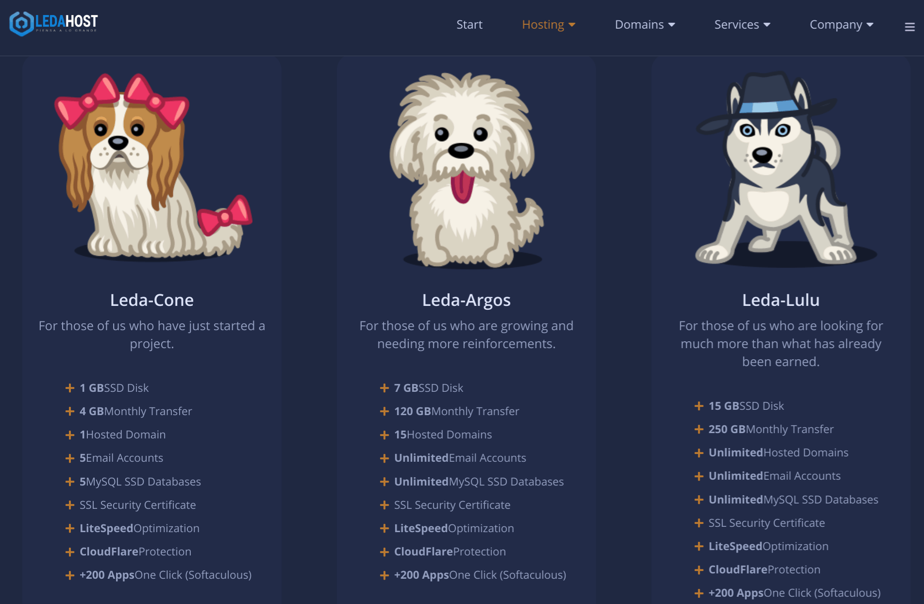 LedaHost-overview1