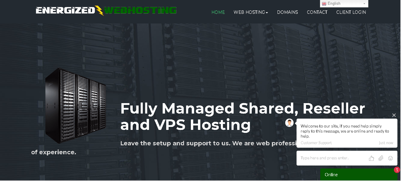 energizedwebhosting main