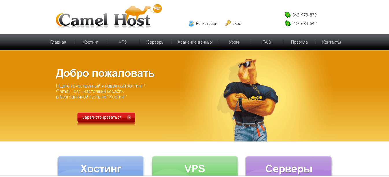 Camel Host Oтзывы 2024 - Оно того стоит?