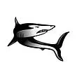 sharktech logo square