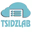 tsidzlab-logo