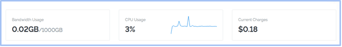 Usage Details of Vultr Account