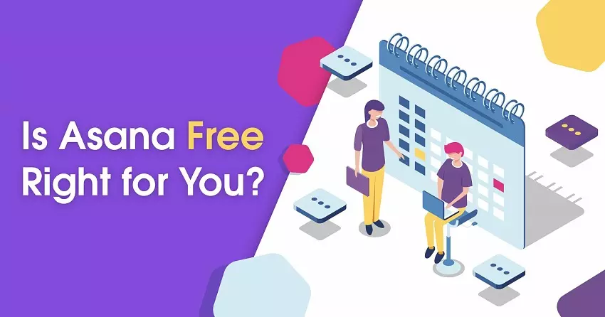 Asana Free vs Premium: Is the Free Version Enough in 2024?