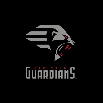 Football team logo - New York Guardians